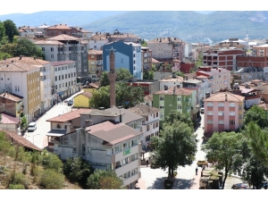 Kavak Üretim Gücüyle Ulusal Ekonomiye Katkısını Arttırıyor