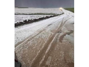 Diyarbakır’da Dolu Ekili Alanlarda Zarara Yol Açtı