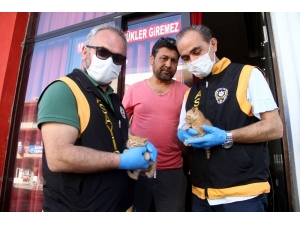 Kıraathanede Mahsur Kalan Kedi Ve 2 Yavrusu Kurtarıldı