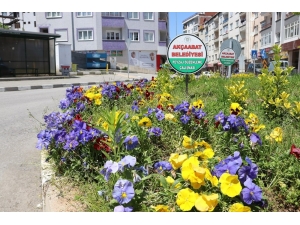 Akçaabat Belediyesi Korana Virüsüne Rağmen Çalışmalarını Hız Kesmeden Sürdürüyor