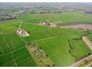 Samsun’da 2020’de 430 Bin 170 Dekar Tarım Arazisi Daha Suya Kavuşacak