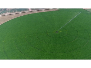 Amasya’da 494 Bin 60 Dekar Tarım Arazisi Sulanacak