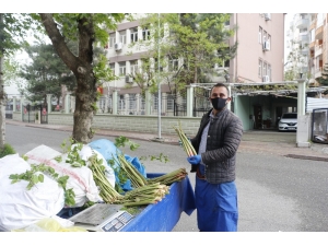 Siirt’te, Yayla Muzu Olarak Bilinen Işgının Fiyatları El Yakıyor