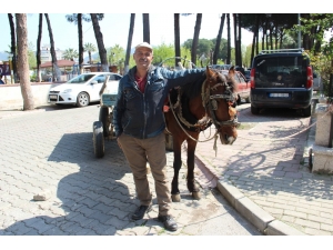 Geleneği Sürdüren Sadece Mevlüt Usta Kaldı