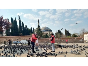 Gençlik Merkezleri Sokak Hayvanlarını Unutmadı