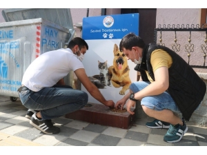 Ezineli Gençlerden Örnek Davranış