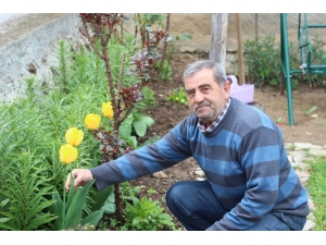 Evde Kalan Vatandaş Kendini Bahçesine Adadı