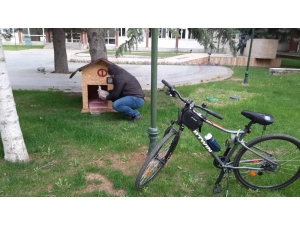 Rektör Çomaklı Kampüsteki Sokak Hayvanlarını Unutmadı