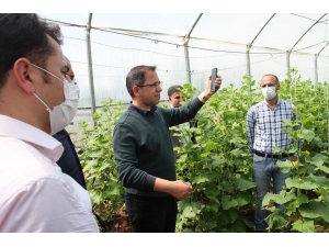 Şırnaklı Çiftçi İlk Mahsulün Gelirini ’Biz Bize Yeteriz Türkiyem’ Kampanyasına Bağışlayacak