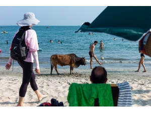 Hong Kong’da Korona Virüse Rağmen Halk, Plajlara Akın Etti