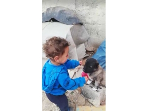 1 Buçuk Yaşındaki Çocuk İle Yavru Köpeğin Dostluğu Yürekleri Isıttı