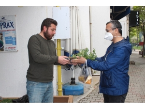 Salgın Muğla’da Fide Satışlarını Arttırdı