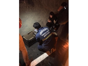 Çamura Saplanan Yavru Köpekleri Belediye Kurtardı