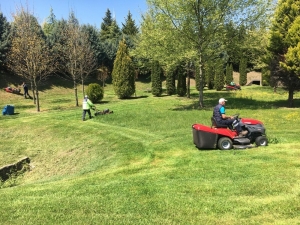 Kent Genelindeki Yeşil Alanlar Temizleniyor
