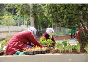 Kızıltepe’de Refüjler Çiçek Açtı