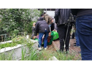 1 Yaşındaki Öykü’ye Acı Veda