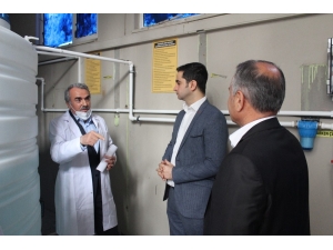 Elazığ’da Öğretmen Ve Öğrenciler Korona Virüse Karşı Üretime Geçti