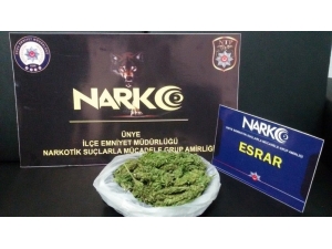 Ordu’da Uyuşturucu Satan 3 Torbacı Tutuklandı