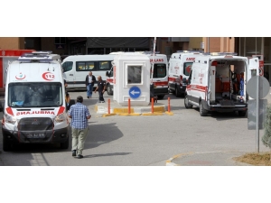 Erzincan’da Doğadan Topladıkları Mantarları Yiyen Çift Zehirlendi