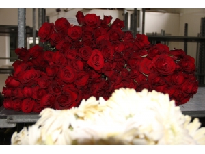 Korona Virüs, Çiçekçileri Fena Vurdu