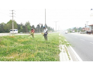 Kaynaşlı Belediyesi D-100’de Refüjlerin Bakımı Yapılıyor