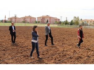 Silopi’de Fide Ekimi Başladı