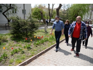 Pursaklar Lalelerin Göz Alıcı Güzelliği İle Taçlanıyor