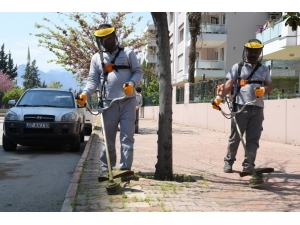 Konyaaltı’nda Sokak Ve Kaldırımlar Temizleniyor