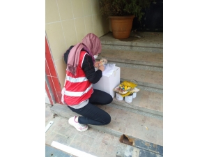 Kızılay Yardımlarını Sürdürüyor