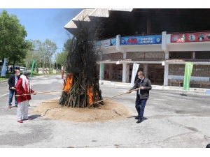Koronavirüs, Bin 400 Yıllık Ateşin Yanmasına Mani Olamadı
