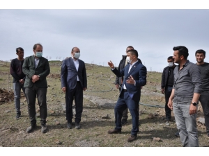 Erciş Belediyesinden Meyve Bahçesi