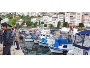 Yasağı Denizden Deliyorlar...