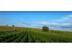 Edirne’de 395 Bin 490 Dekar Tarım Arazisi Sulanmaya Başlandı