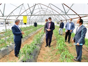 Yeşilyurt’ta Meyve Kurutma Ve Kükürtleme Tesisi Kurulacak