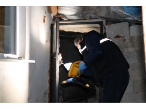 Karaman’da, Hırsızlar Girdikleri Ağıldan 4 Kuzuyu Çaldı