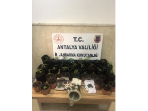 Özel Düzenek Kurup, Uyuşturucu Yetiştirilen Eve Operasyon