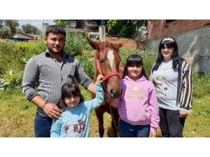 Alnında Kuş Figürü Bulunan At İlgi Odağı Oldu