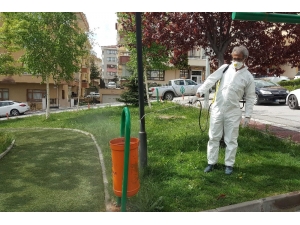 Çankaya’da Salgın Hastalıkla Mücadele Çalışmaları Sürüyor