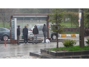 Ahlat’ta Şiddetli Yağış Etkili Oldu