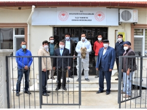 Yaralı Kızıl Şahin Tedavi Altına Alındı