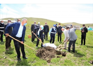 Tuşba Belediyesinden ‘Model Ceviz Bahçesi’ Projesi