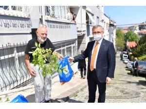 Üsküdar’da Sepetler Anneler İçin Mor Salkımlarla Doldu