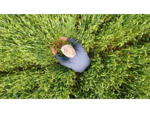 Süne İle Mücadele Başladı