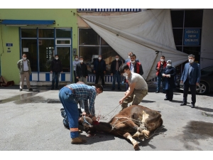 Örenli Ailesi Kurbanı Belediyeye Bağışladı