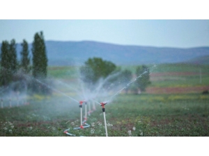 Nevşehir’de 76 Bin 130 Dekar Tarım Arazisi Sulanmaya Başlandı