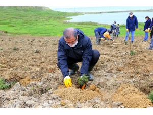 Eyüpsultan Lavanta Cenneti Oluyor