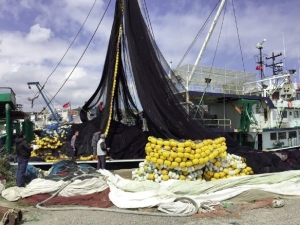 Erdekli Balıkçılar Orkinos Avına Gidecek