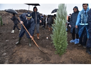 Başkan Ergün’den ’Sağlık Kahramanları Hatıra Ormanı’na Fidan Desteği