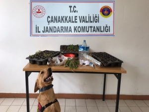 Gelibolu’da ’Roket’li Uyuşturucu Operasyonu: 2 Gözaltı