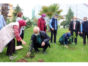 Karantinadaki Vatandaşlar Fidanlarla Uğurlandı